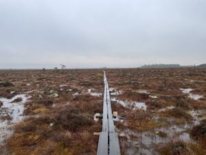 vandringsled över spångar store mosse nationalpark