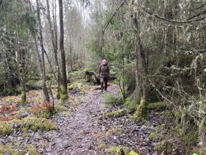 Promenad Store mosse nationalpark