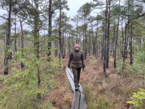 Vandring Store mosse nationalpark