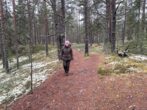 Vackra promenadstråk store mosse nationalpark