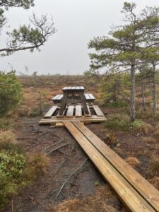 Rastplats store mosse nationalpark