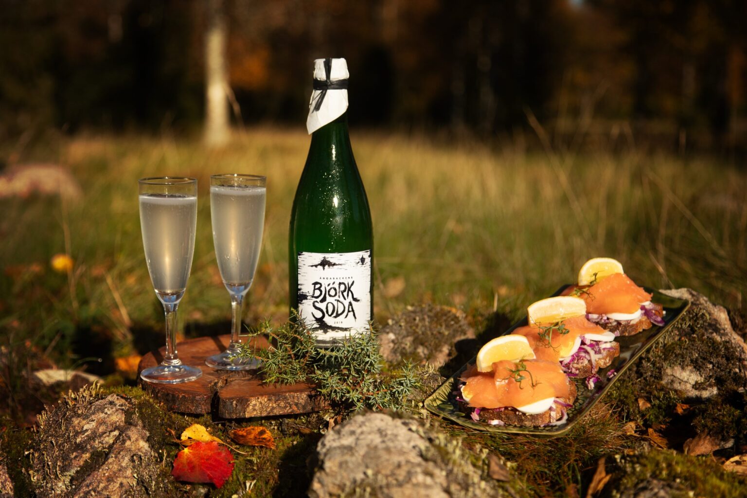 Ängabackens Björksoda