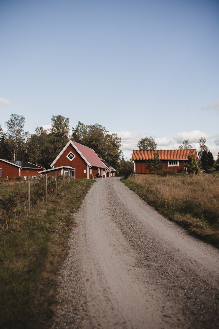 Weekend i Småland – 2 dagar med skog, bastu och små äventyr