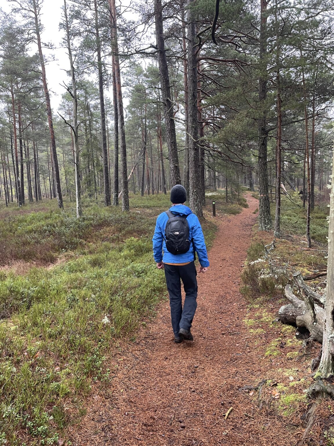 Återbesök på Store mosse