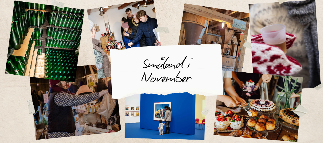 10 saker att göra i Småland November